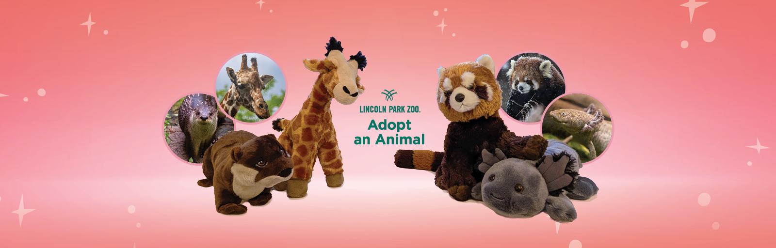 Adopt an Animal