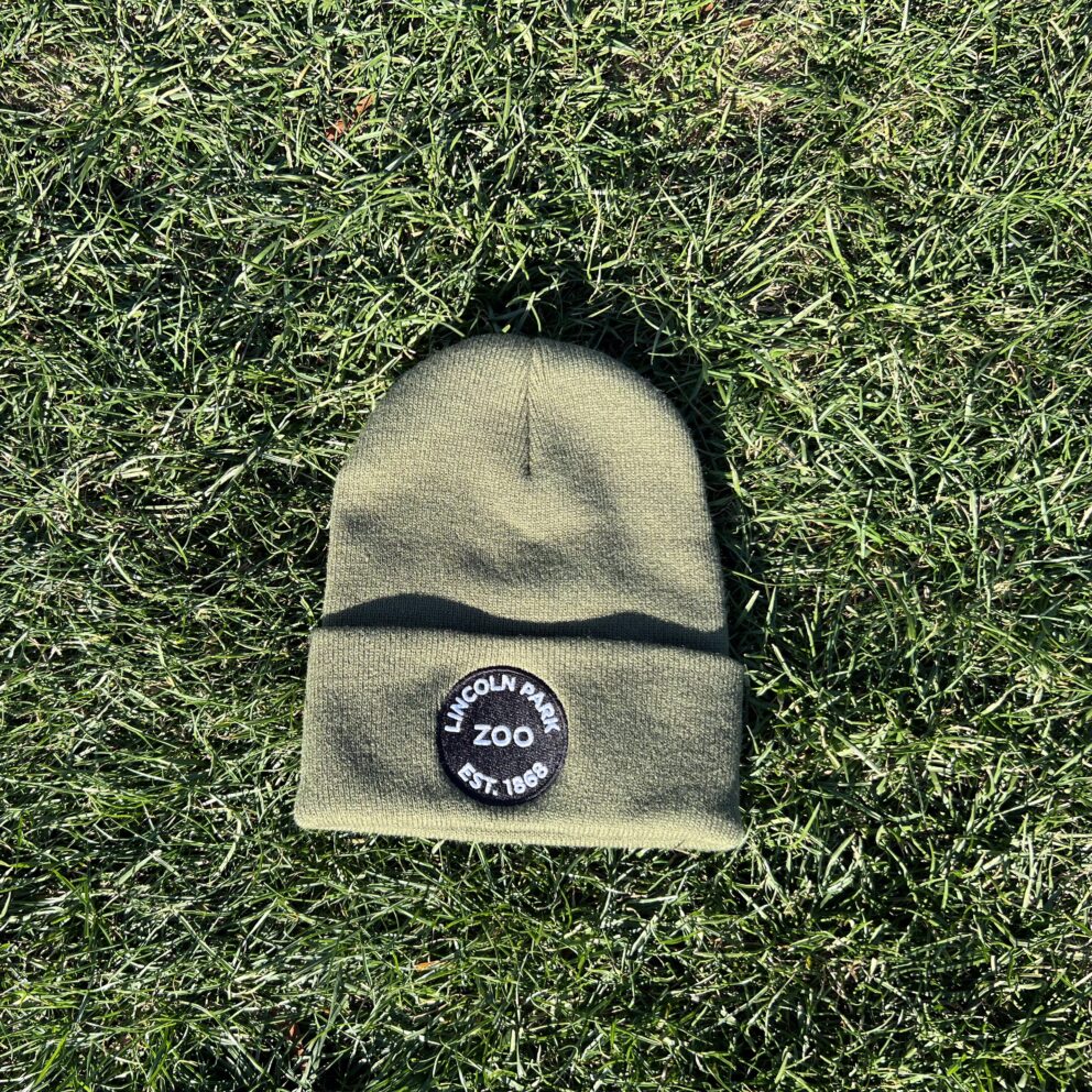 beanie with Lincoln Park Zoo