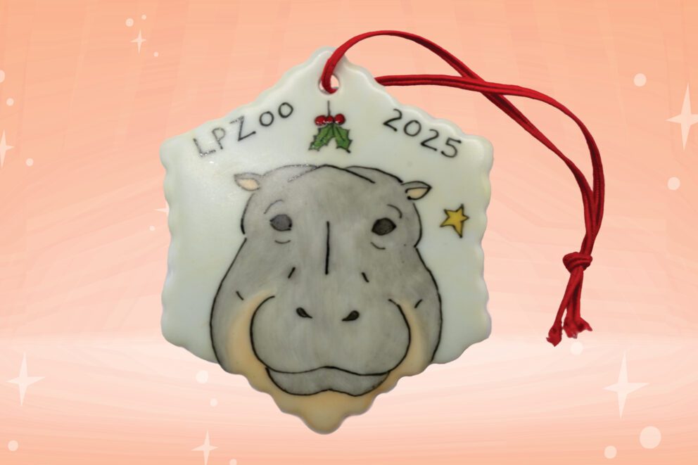 ornament with a hippo's face on it