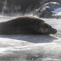 For He’s a ‘Jelly’ Good Fellow