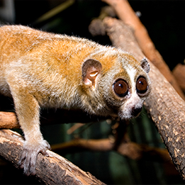 A Season for Reflection