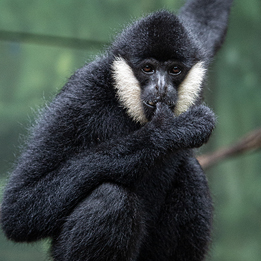 I ‘Cereal‘-ously Adore You