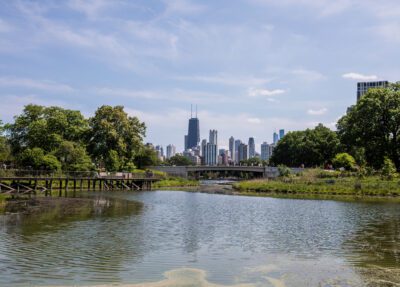 nature boardwalk in summer
